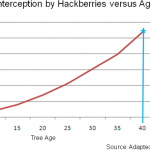 Stormwater Quantity and Rate Control Benefits of Trees in Uncompacted Soil