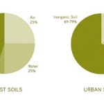 Forest Soils Versus Urban Soils