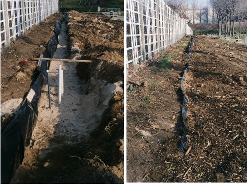 Bamboo Barrier Trench - Before & After
