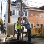 Successful Community-Based Tree Planting & Care <em><br><i>An Interview with Tree Tender Nicole Moga</br></i></em>