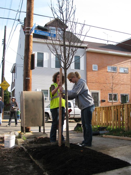 Tree planting with Danielle Crumrine