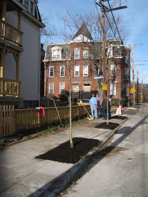Froman Street