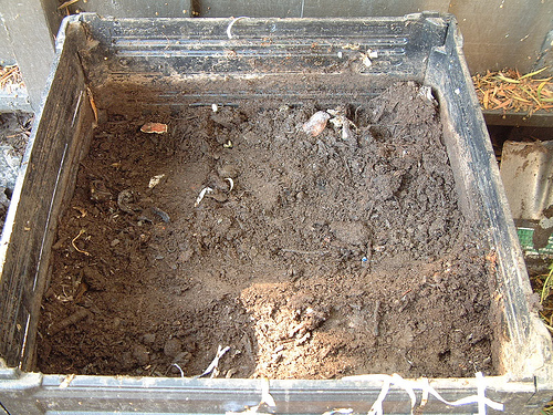 soil organic matter