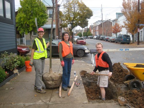 SSTT_Tree Going In