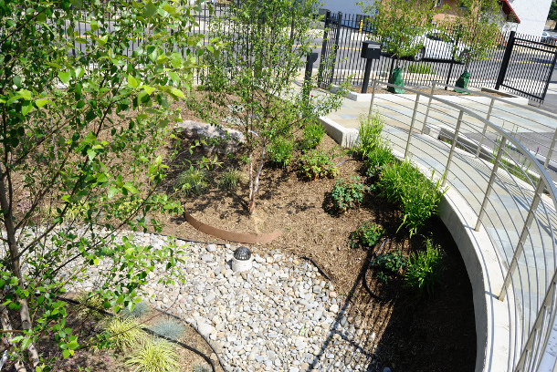 Casey Trees bioretention planter