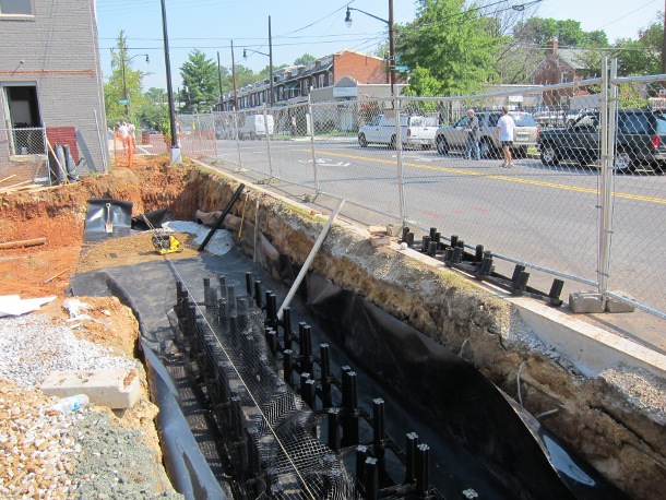 Silva Cell Casey Trees installation