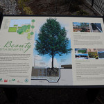 Casey Tree’s Silva Cell Bioretention Garden Panel