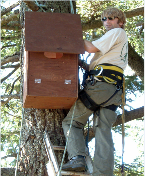 Jim and the owl box