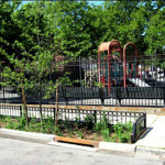 What’s Missing From NYC’s Enhanced Bioswale Tree Pits