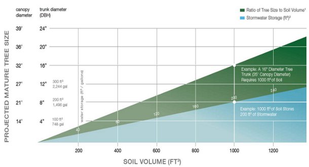 how much soil to grow a big tree
