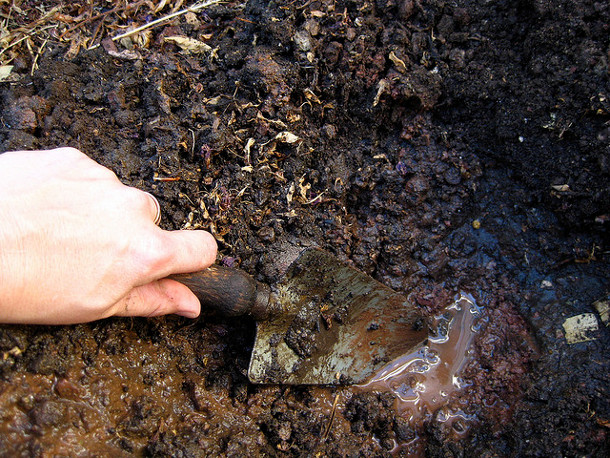 Will Deep Soils Become Anaerobic DeepRoot Blog