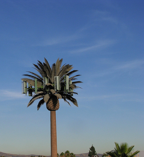 Majestic Cell Phone Towers DeepRoot Blog