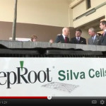 The Prince and the Silva Cell