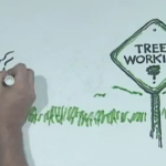 Lecture Doodle: Why Not <i>More</i> Trees?