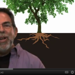 Kinda Like “The Story of Stuff” – For Trees