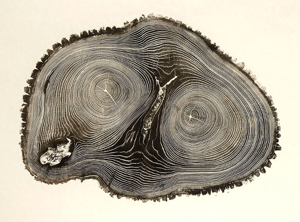 woodcut prints showcase the
