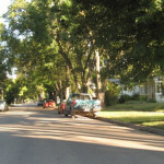 Minimum Soil Volumes for Trees Part 2: <em><br><i>Research vs. Implementation: How Do They Compare?</em></br></i>