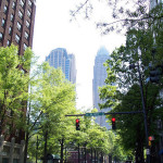 Charlotte, NC Trees In Suspended Pavement Look Great 25 Years Later