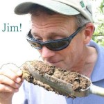 Ask Jim: “Are Silva Cells limited in their soil volume?”