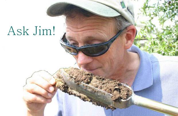 Ask Jim Ask Jim!