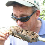 Ask Jim: “Might the trunk flare grow so large that it alters the soil hydrology?”