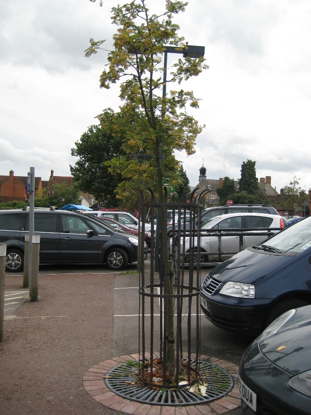 Waitrose Henley Car Park Waitrose Henley Car Park