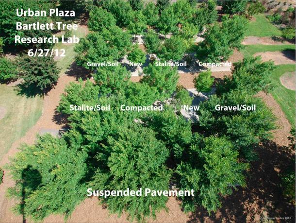 Which growing media is best for trees? Which growing media is best for trees?