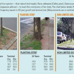 “Apparent Available Soil” A Good Predictor of Tree Size