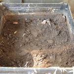What is Soil Organic Matter?