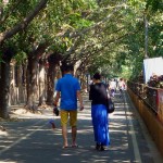 The History of Street Trees: <i>“This will be easy!”</i>