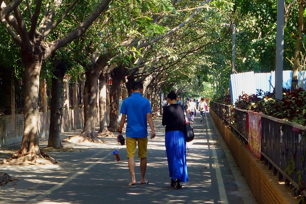 Tree lined street Bao'an Shenzhen China. Flickr credit: dcmaster