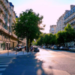History of Street Trees in Paris <em><i><br>Paris the minute to Paris the modest</i></br></em>