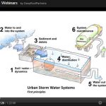 Webinar: Using Trees and Soils to Manage Urban Stormwater