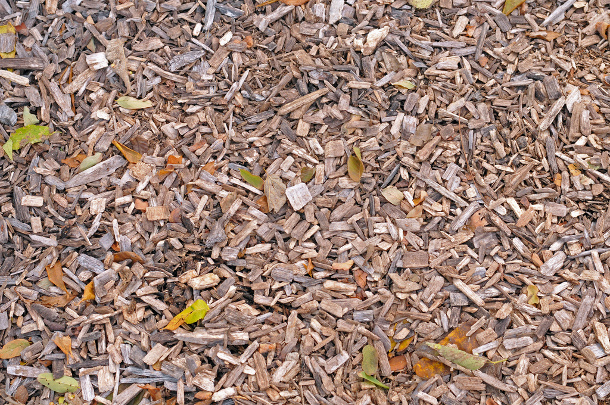 Mulch Mulch