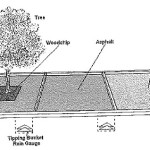 The Effect of Trees in Paving on Stormwater Runoff