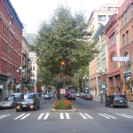 Seattle’s Urban Forest Stewardship Plan: 3 Action Items Worth Noting