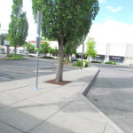 Tigard, OR Sets Soil Volume Minimum for Street Trees