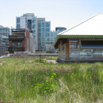 Toronto Expands Green Roof Incentive Program