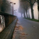 Cities Where the Silva Cell Is Approved for Use