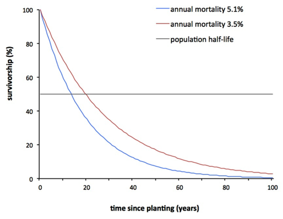 Lifespan Of Trees Chart