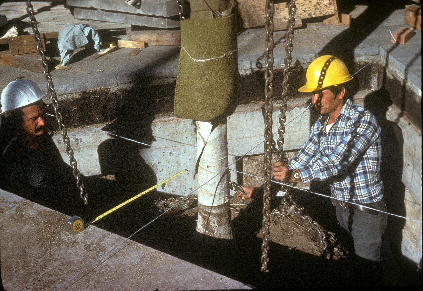 Workers install trees carefully in custom planters. Photo credit: © OLIN