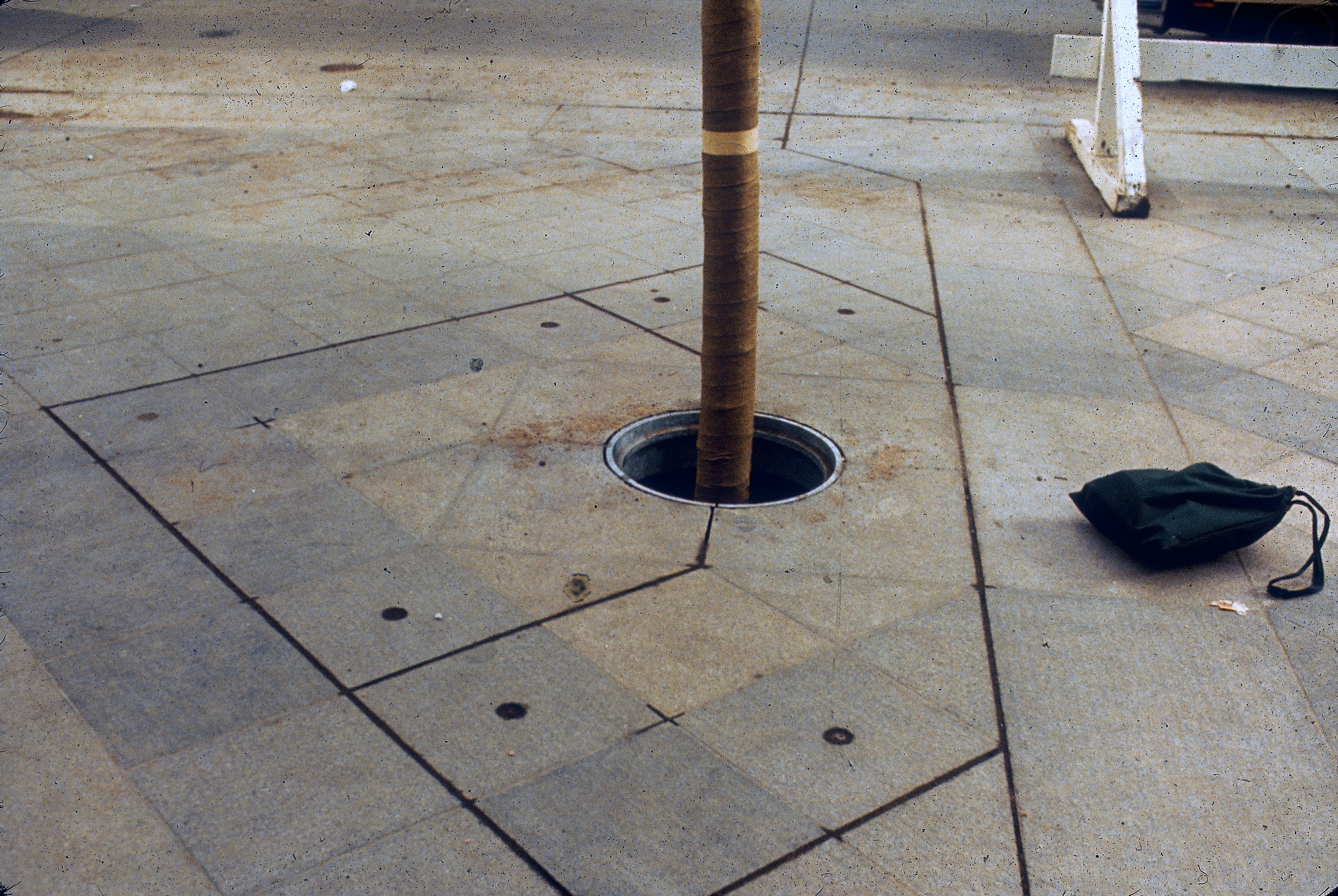 The planters are square with one edge sliced off, as pictured here. Photo credit: Tom Perry