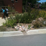 At the Forefront of Bioretention Media Specifications: an Interview with Curtis Hinman