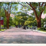 The High Cost of Urban Monocultures