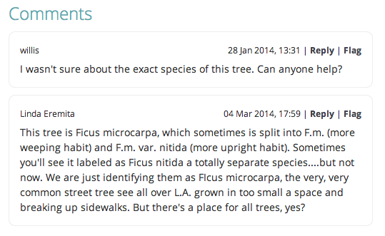 CommentsLeftOnATreesPage