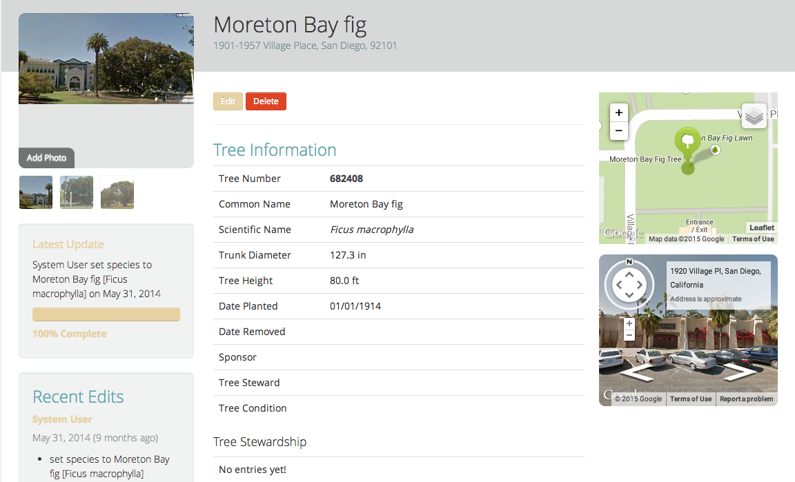 SanDiegoTreeMap_BalboaParkFigTree