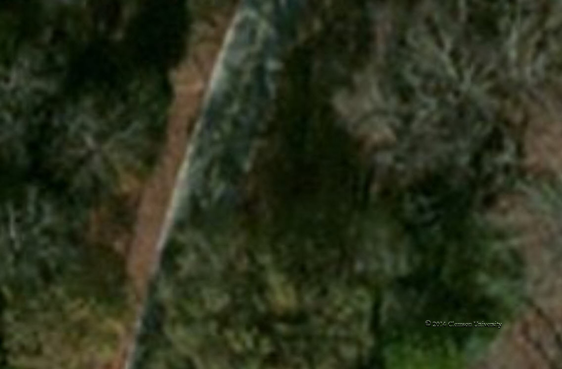 TraditionalPhoto1MResolution_small