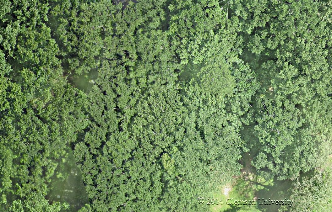 UAVImageSameShotasTraditional_2cmResolution