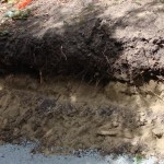 What is “Good” Soil?