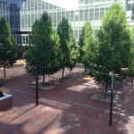 3 Ways to Sustain Nature in the Built Environment